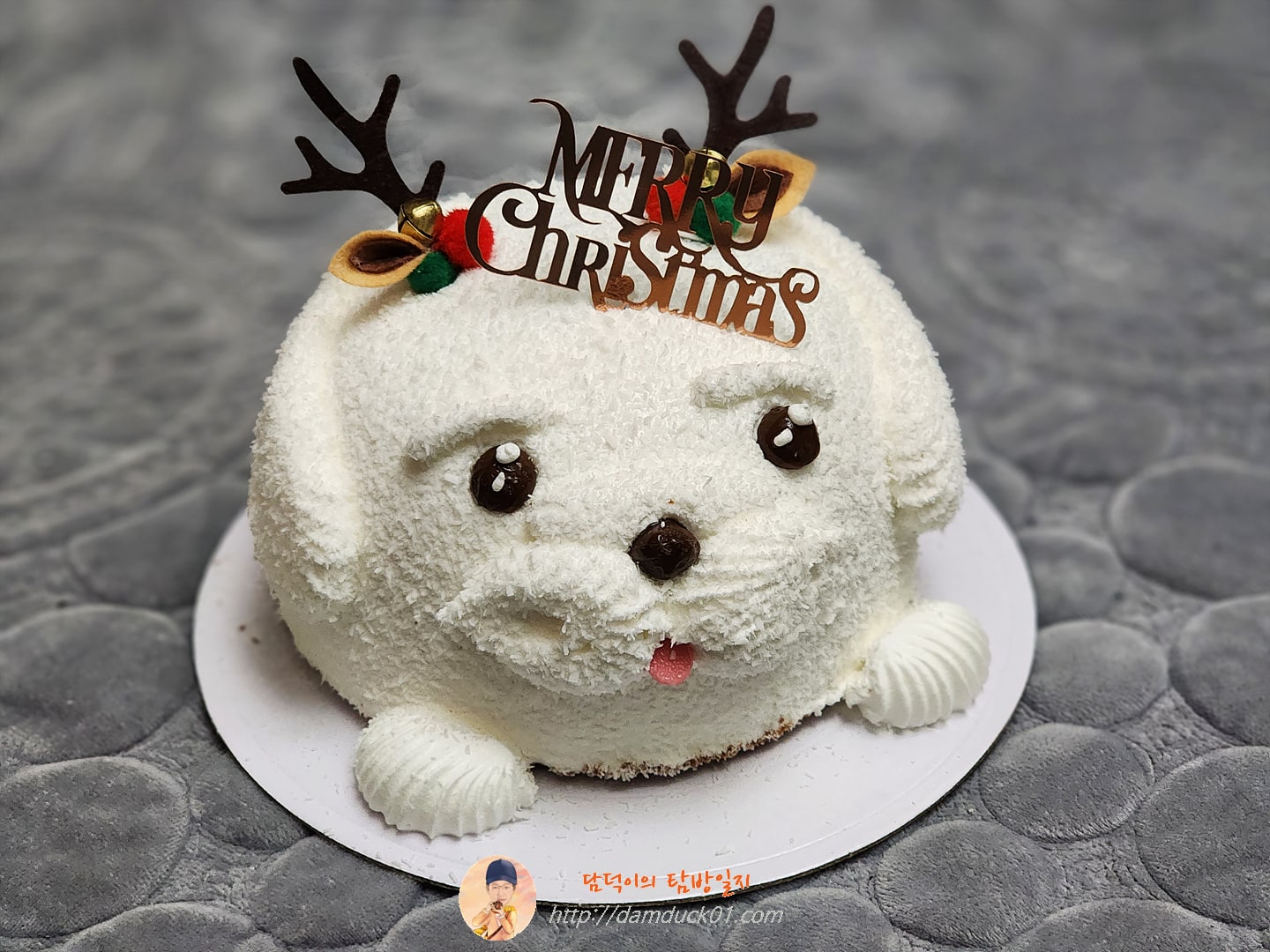 루시카토 흰둥이 1호