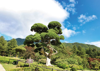 가평 가볼만한 곳