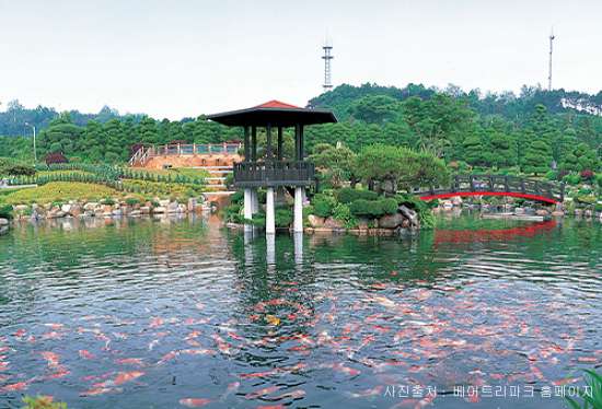 베어트리파크 철쭉제 봄과 철쭉
