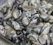 통영굴-직거래