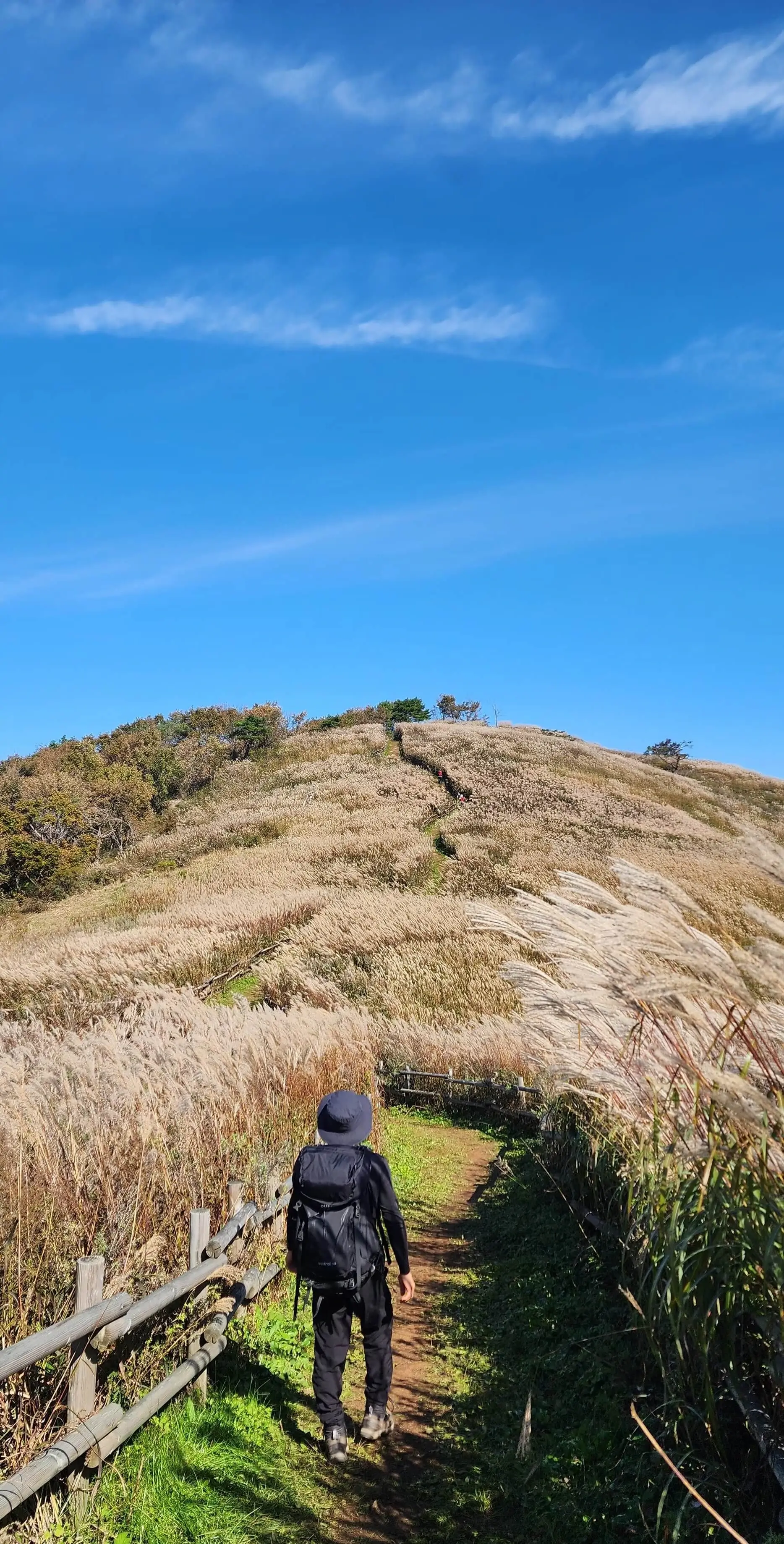 민둥산