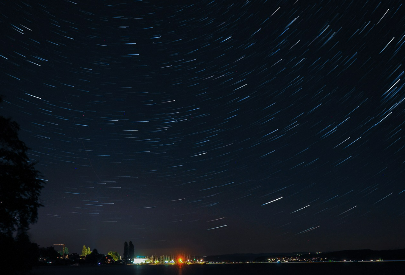 밤빛머루, 밤빛머루 가격, 밤빛머루 파는곳