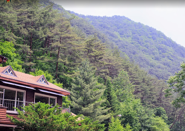 강원도-자연휴양림