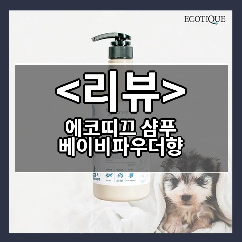 에코띠끄 샴푸 베이비파우더향