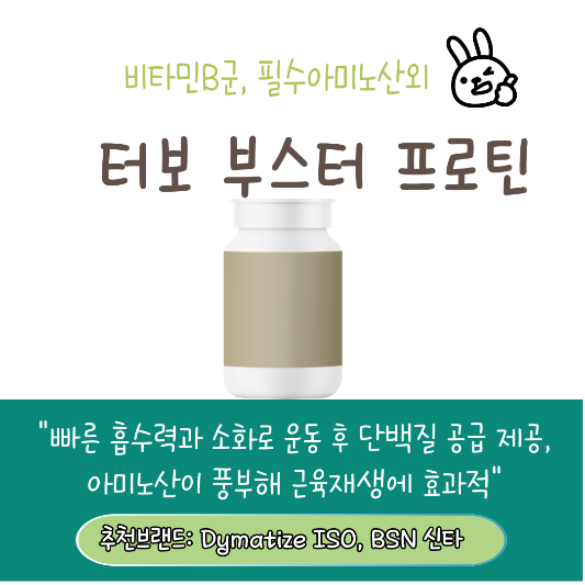 근육증가(벌크업) 단백질 보충제 추천