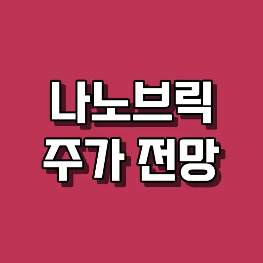 나노브릭 주가 전망