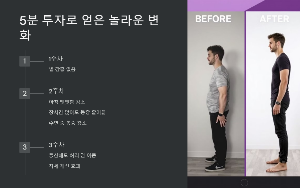 허리 통증 완화 운동, 하루 5분 스트레칭 루틴