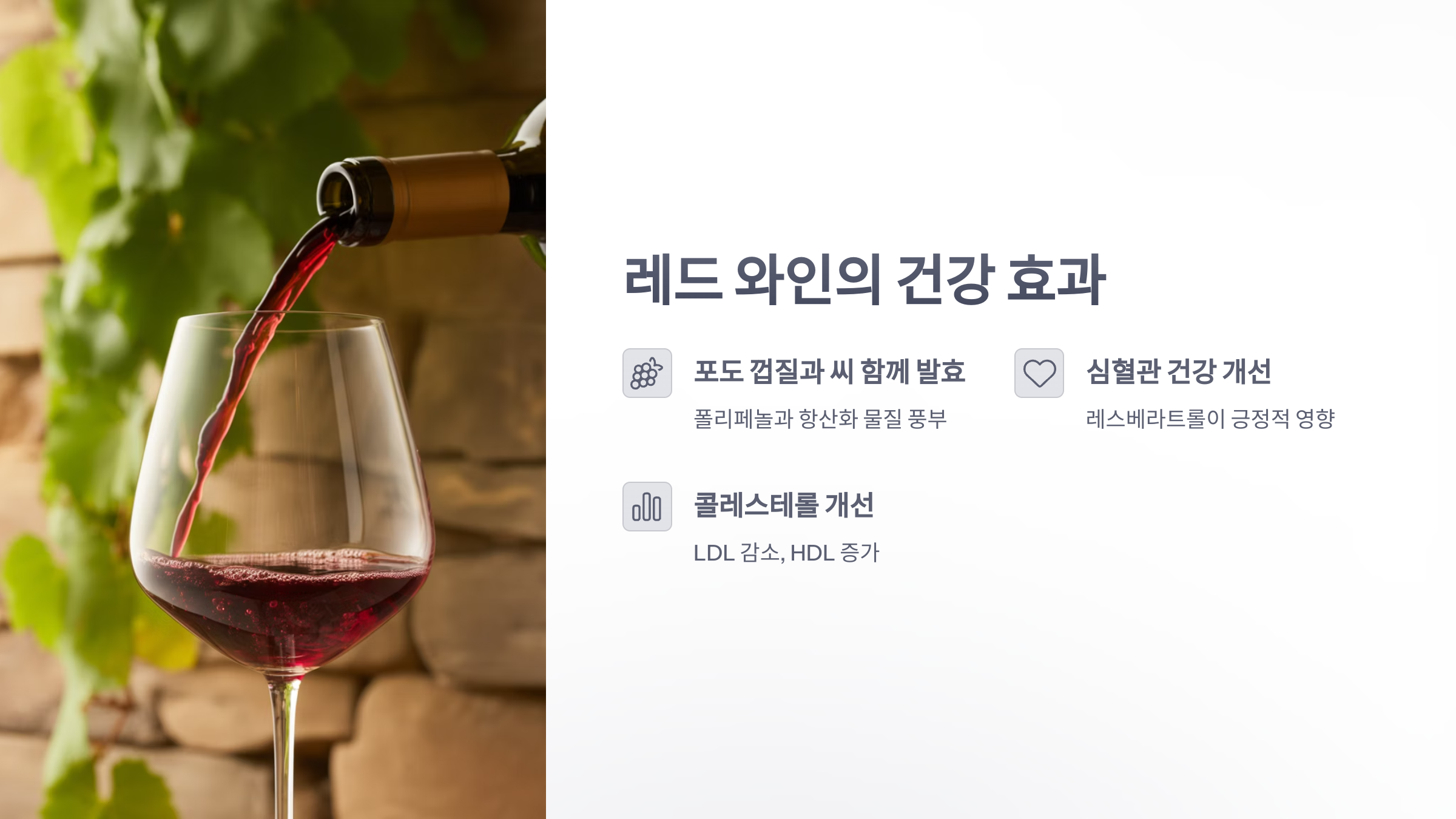 참조-레드-와인-2