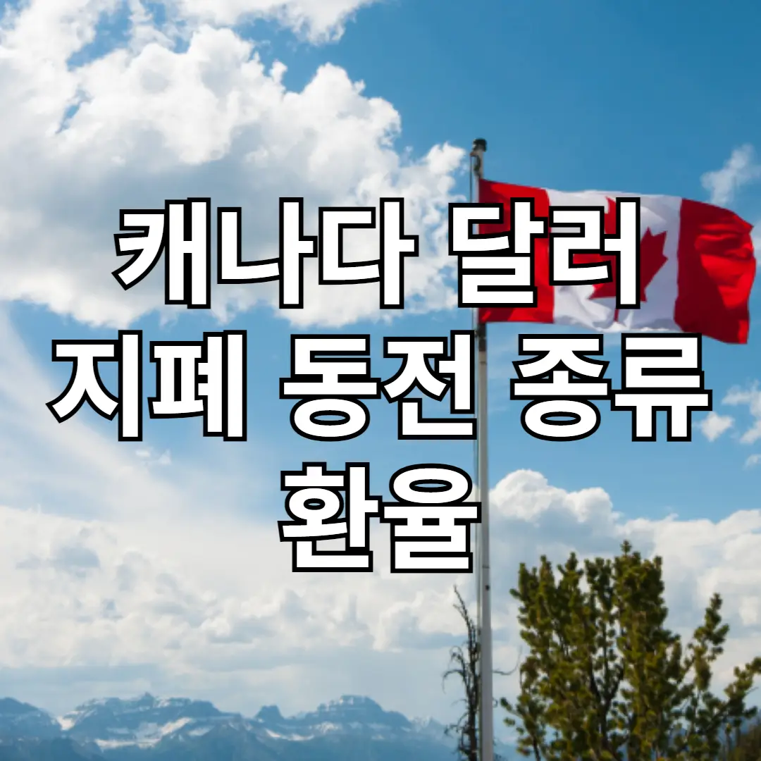 캐나다 달러의 종류와 환율