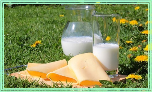 1살 아기 이유식 8가지