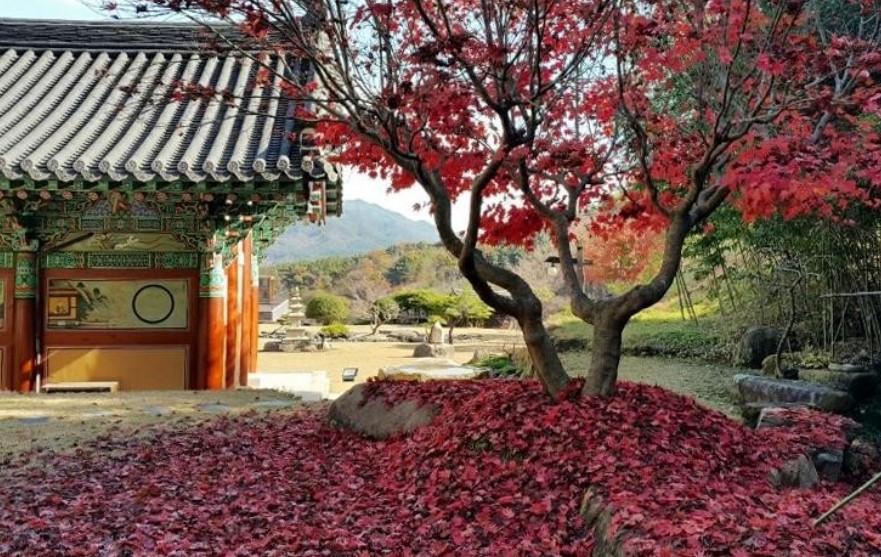 수선사(6)