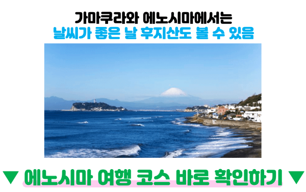 도쿄-근교-여행지-가마쿠라-에노시마-요코하마-하코네-이즈-닛코-카와고에-스이카-애플페이-일본-체크-카드-돈키호테-할인쿠폰