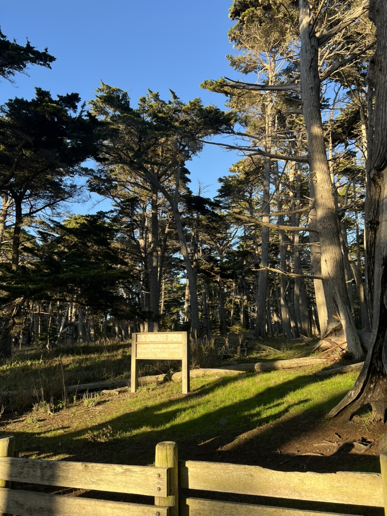 Crocker Grove
