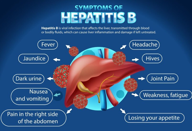 췌장에 대한 설명