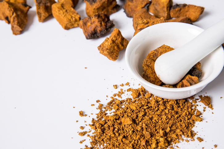 차가버섯 효능 및 부작용