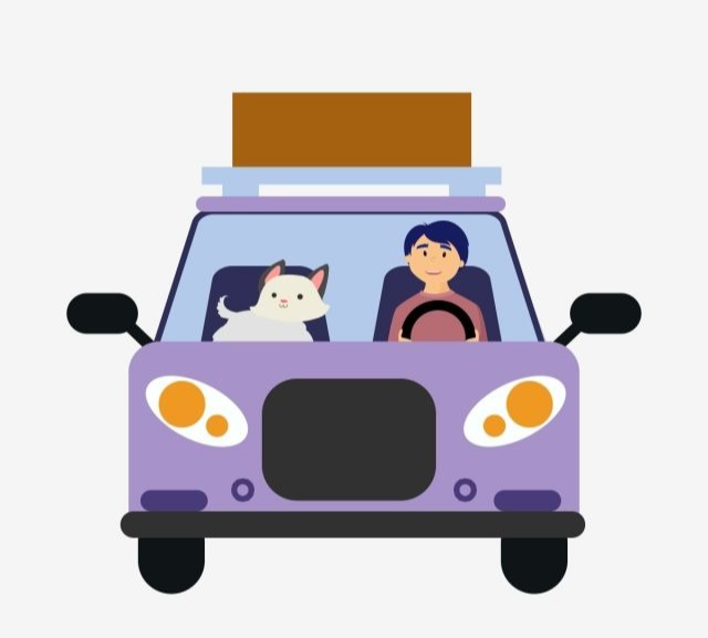 운전면허 적성검사 주기 갱신기간 연령별 기준 벌금