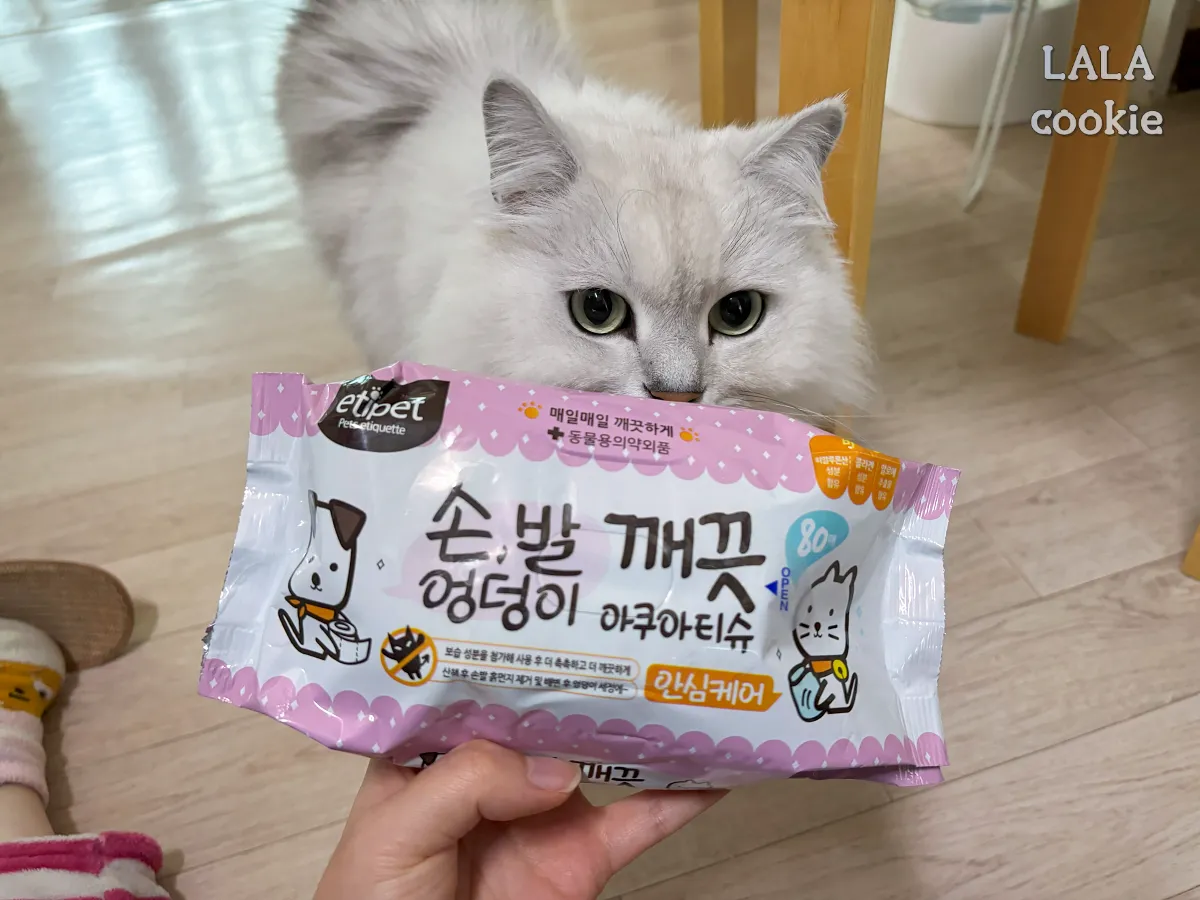 고양이-물티슈-추천-에티펫-후기-외관