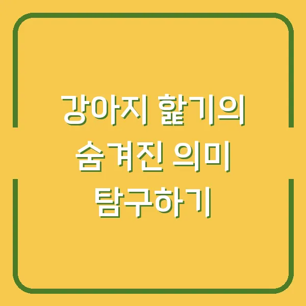 강아지 핥기의 숨겨진 의미 탐구하기