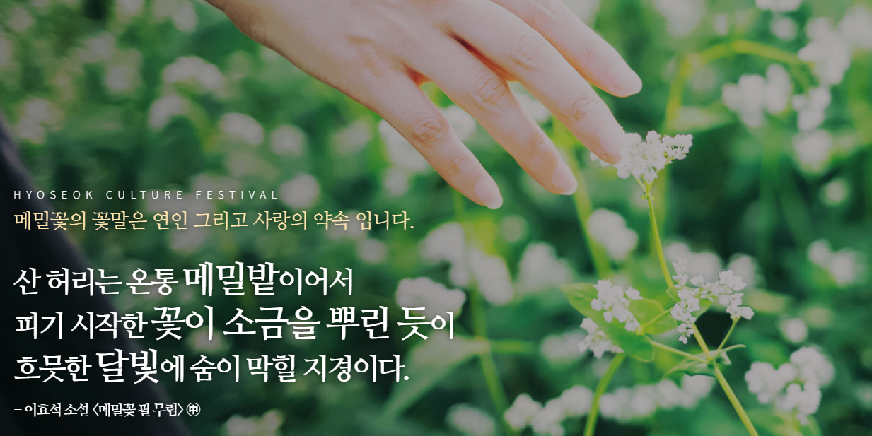 평창 효석문화제 2025 입장료 교통 프로그램