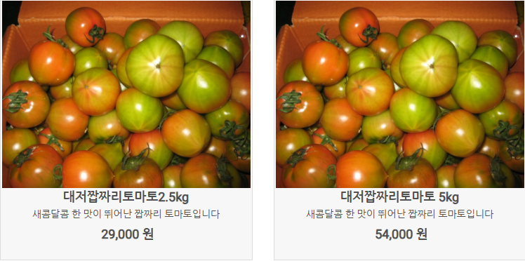 6시내고향 대저토마토 대처짭짜리토마토 대처찰토마토 가격 및 구매방법 부산우리토마토농장