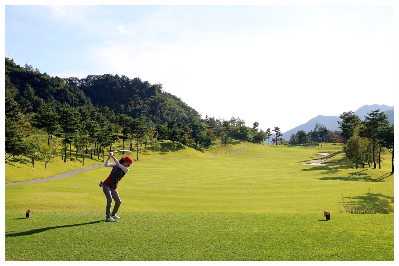골핑 블랙프라이데이