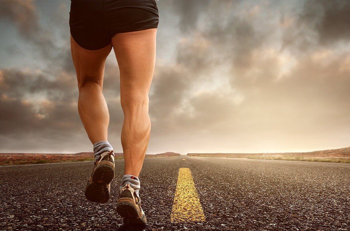 경주 벚꽃 마라톤 2026, 3분 완벽 정리