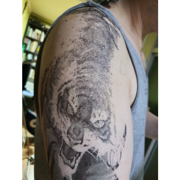 점점 사라지는 호랑이 문신