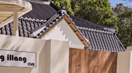 일랑일랑스테이