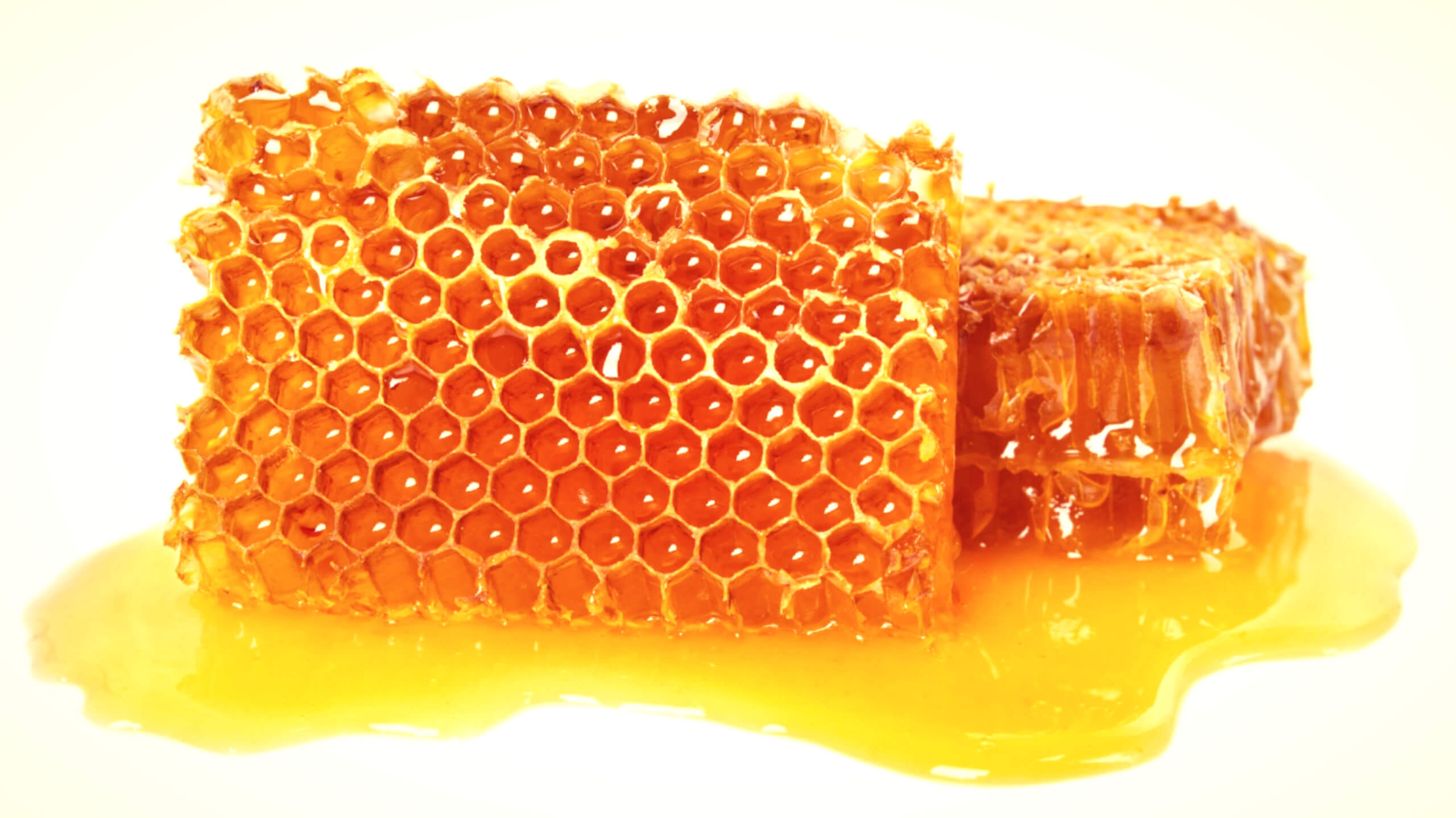 강력한 항균효능이 있는 프로폴리스