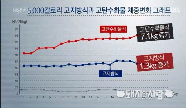 고탄수화물의 체중변화 그래프