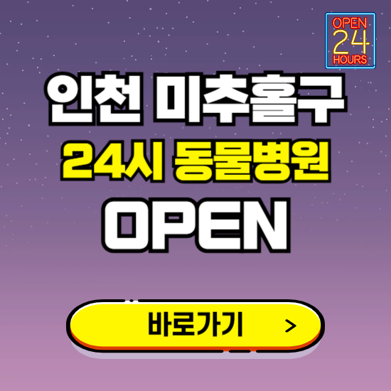 인천 미추홀구 24시 동물병원 진료하는 곳 ❘ 설날 휴일 야간 심야 문여는곳 찾기 ❘ 응급진료