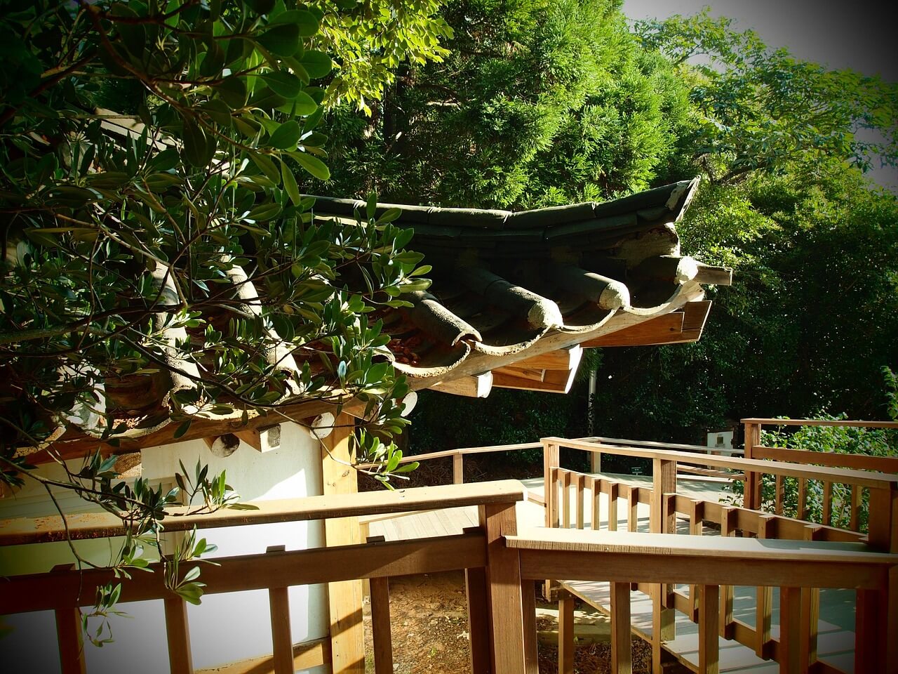 수도권 겨울 데이트 명소 3곳, 눈꽃 여행 완벽 가이드 관련사진