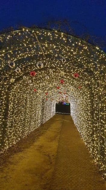 [서울 근교 여행지]산들소리 수목원 &amp; 낭만등불축제 후기
