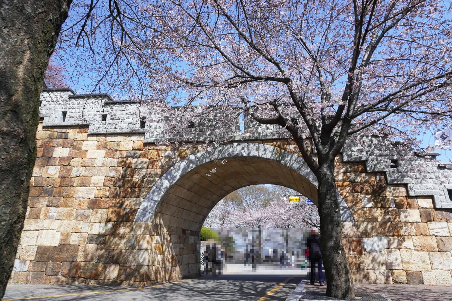 화성행궁벚꽃길