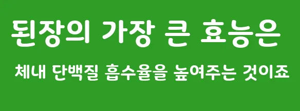 된장의 가장 큰 효능은 체내 단백질 흡수율을 높여주는 것이죠