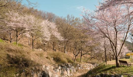 상당산성