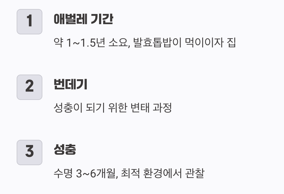 애벌레부터 성충까지, 긴 기다림의 시간