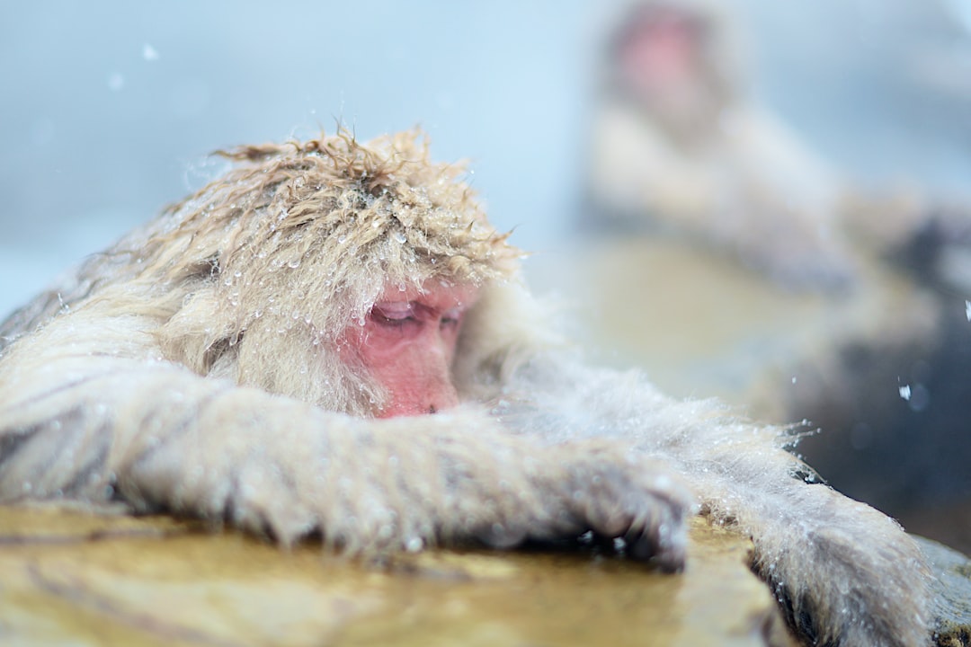 Heat illness