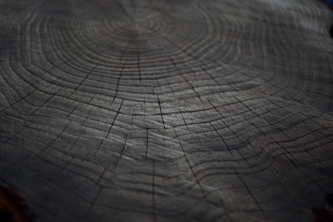 Wood.