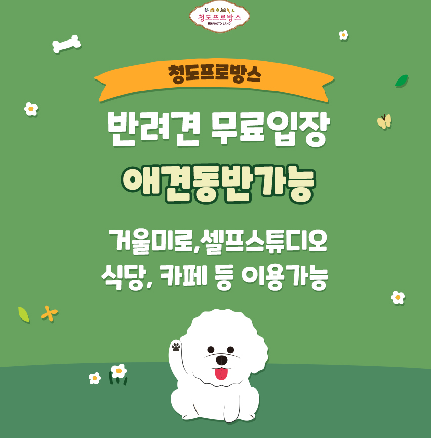 청도 프로방스