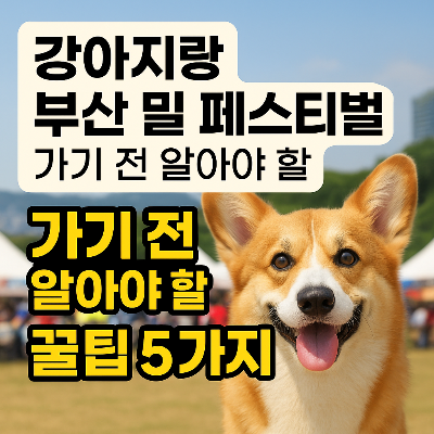강아지랑 부산 밀 페스티벌 가기 전 알아야 할 꿀팁 5가지
