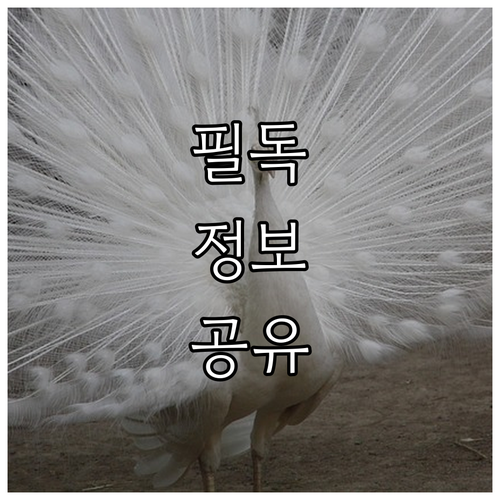 2025 서울교통공사 조례시설물 우선..