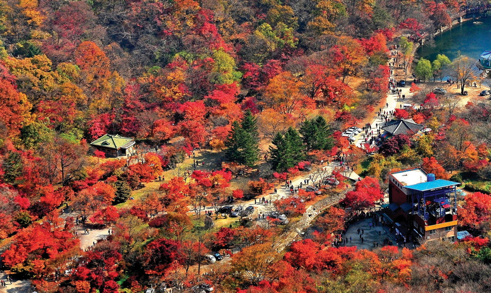 충청 전라권 단풍 사진