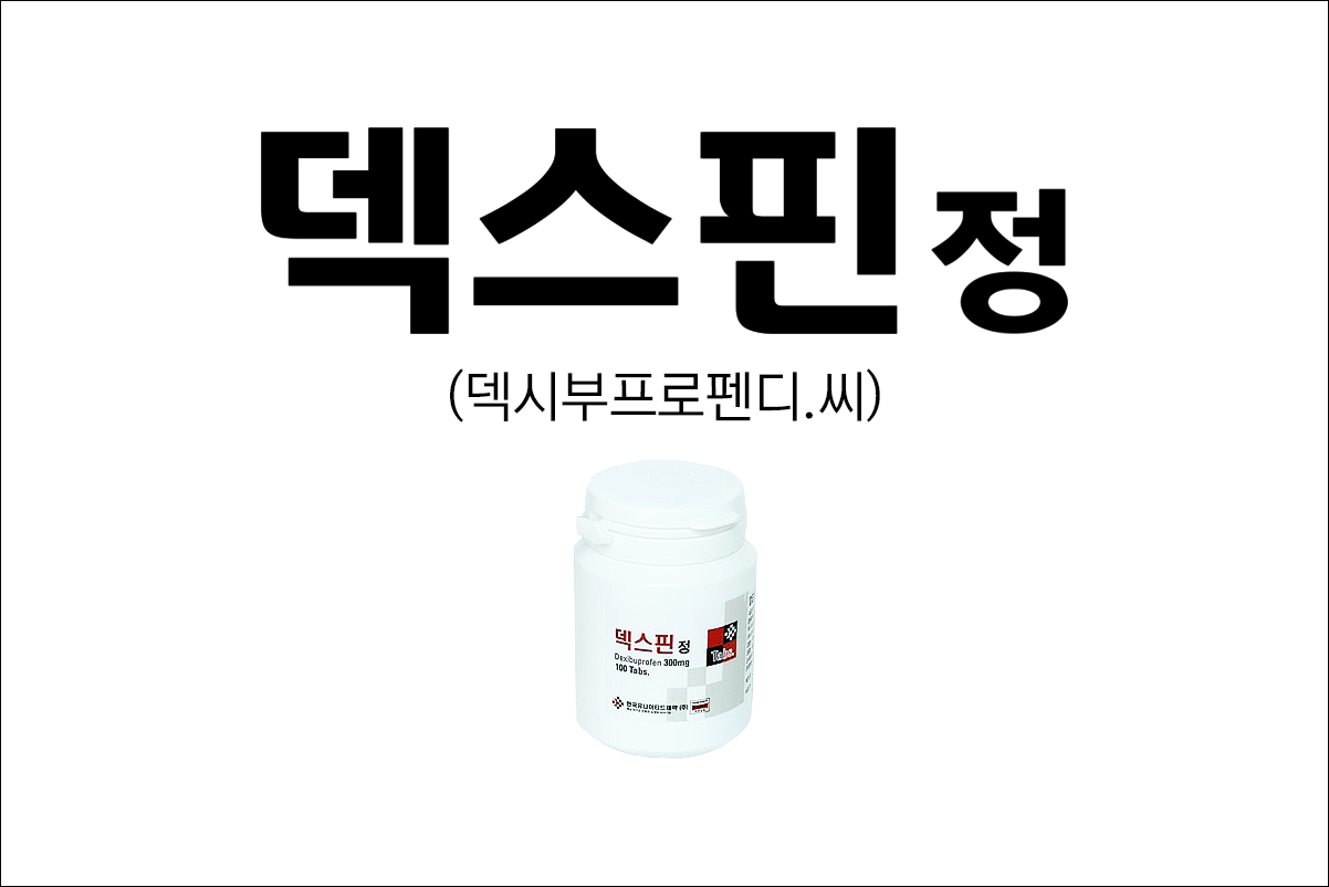 덱스핀정