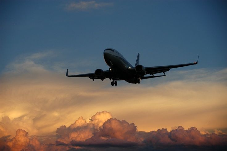 2025 숙박세일페스타 쿠폰 다운로드