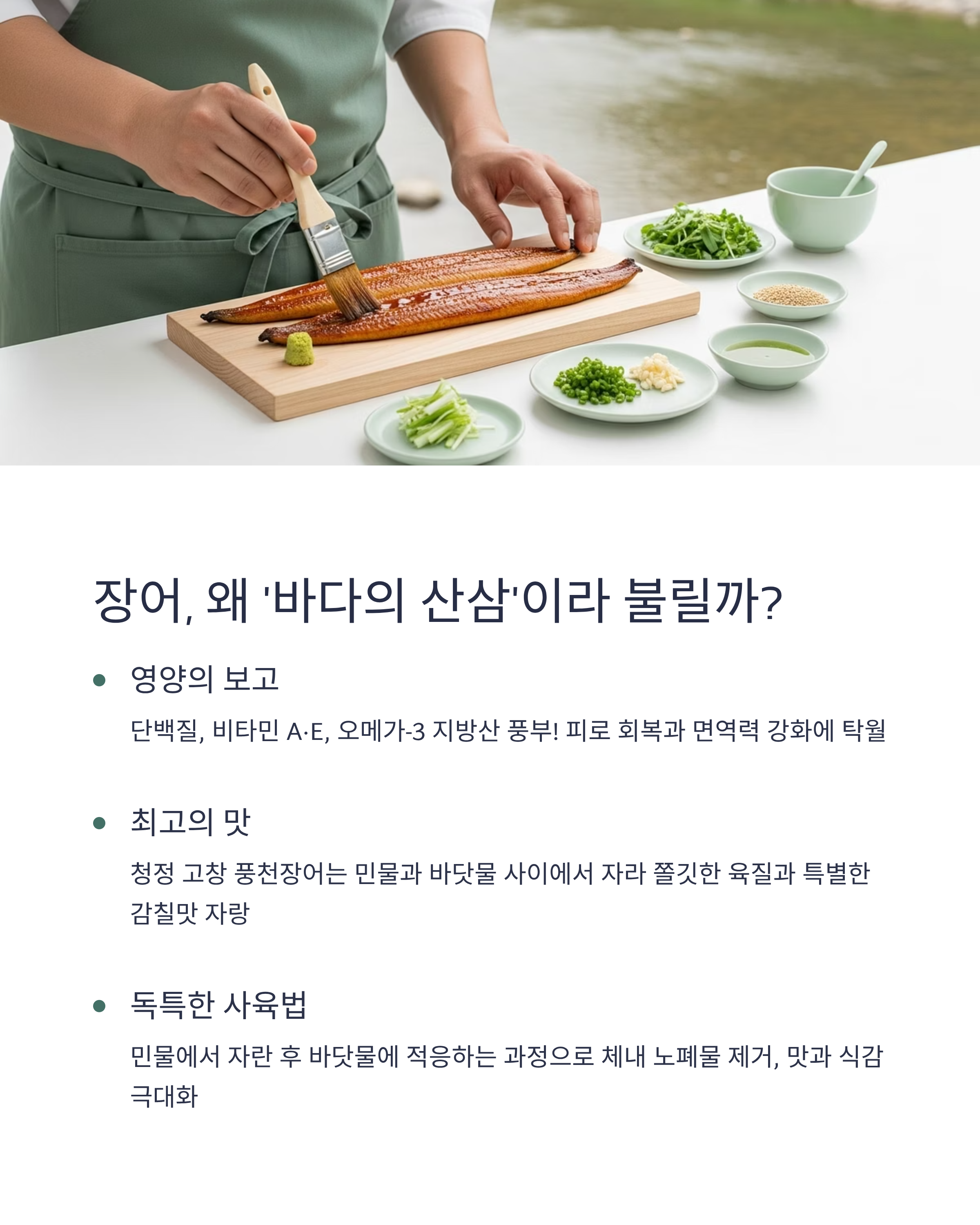 장어의 스테미너 효과