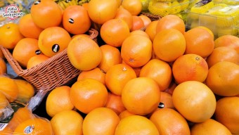 겨울철 건강관리 음식