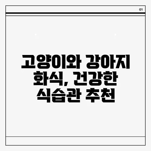 고양이와 강아지 화식, 건강한 식습관 추천