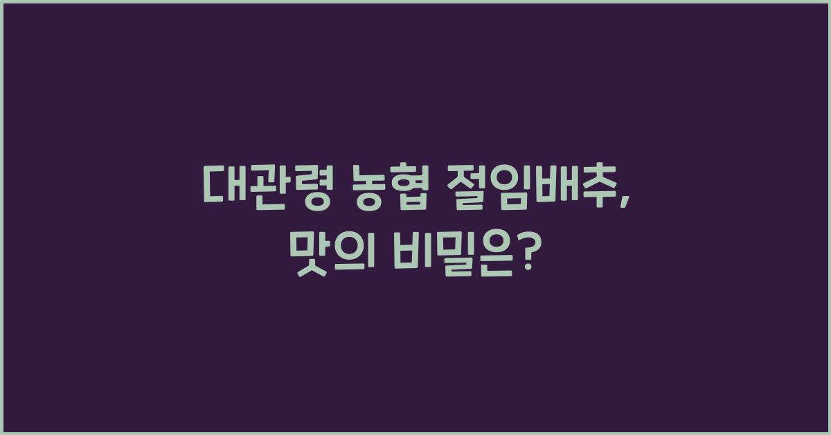 대관령 농협 절임배추