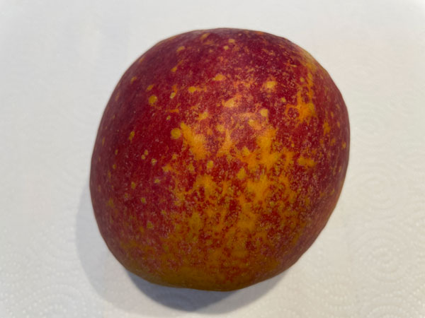 사과 보관법 - 감홍사과 특대과